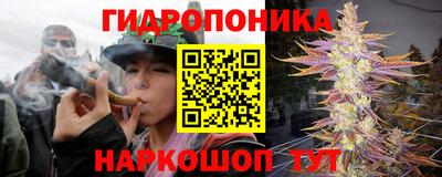 стафф Кулебаки