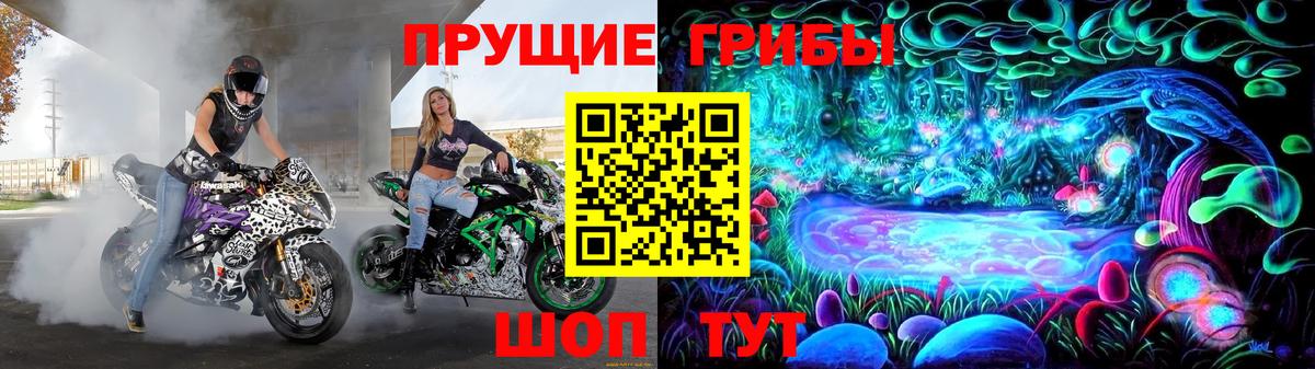 Галлюциногенные грибы GOLDEN TEACHER  Галлюциногенные грибы мухоморы  сколько стоит  Кириши 