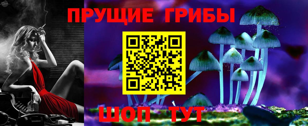 Кириши  наркотики  Псилоцибиновые грибы Cubensis  Вход с VPN  Псилоцибиновые грибы мицелий 