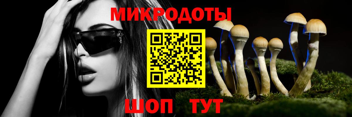 Галлюциногенные грибы мицелий Кириши