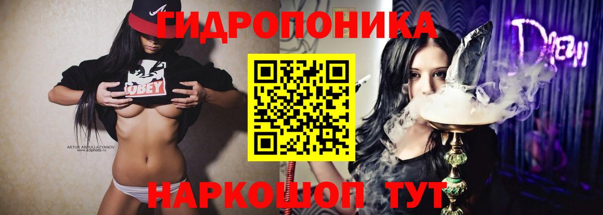 Шишки марихуана конопля Кириши